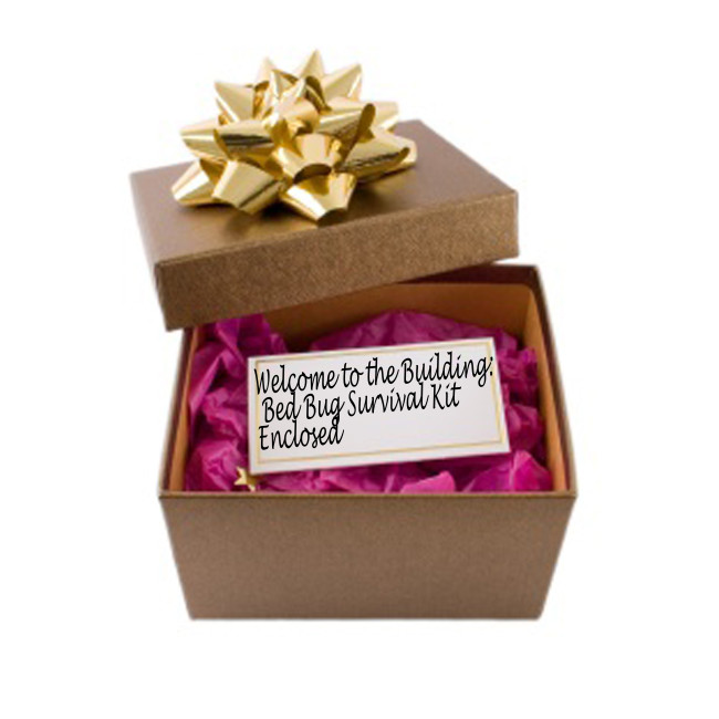 bed bug present.jpg bed bug present.jpg