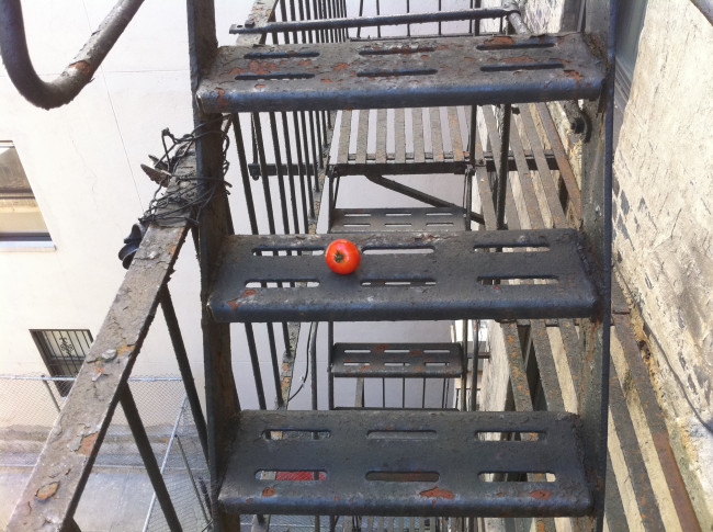 fire escape gardener.jpg image