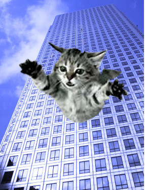 highrise syndrome.jpg image