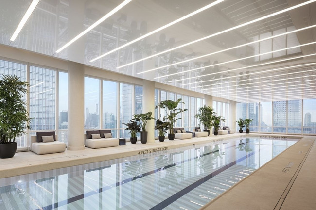 hudson yards pool.jpg image