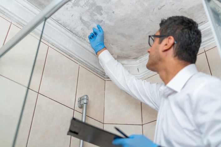 insurance adjuster inspecting mold