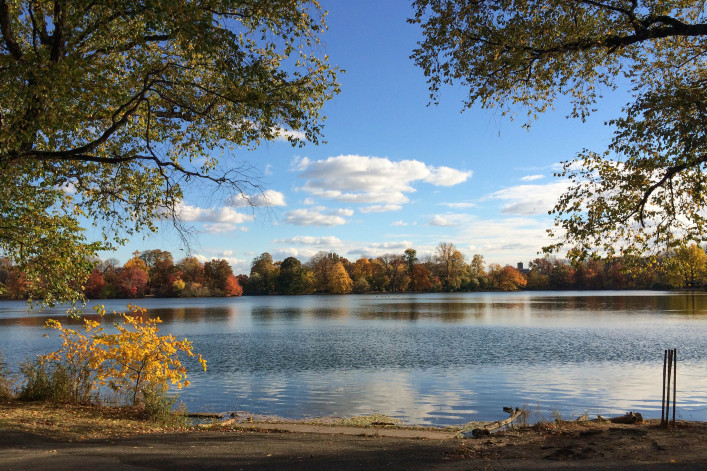 Prospect Park 