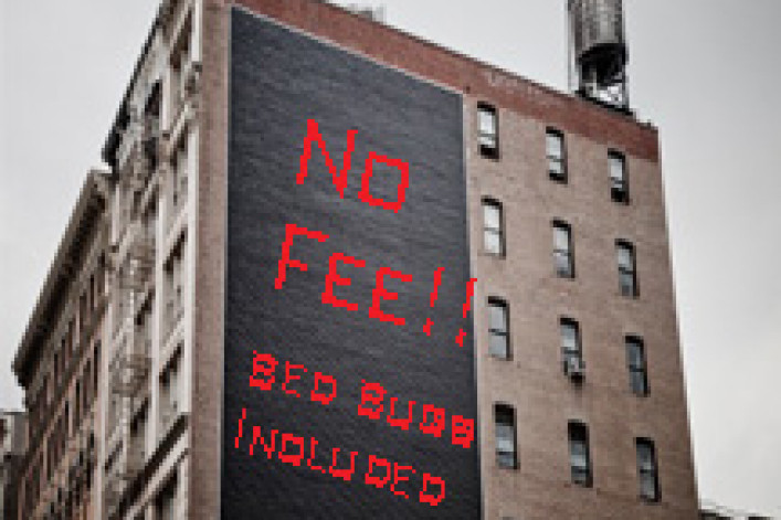 Bed bugs included.jpg