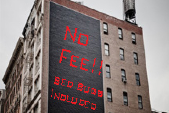 Bed bugs included.jpg Bed bugs included.jpg