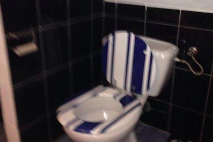 toilet seat