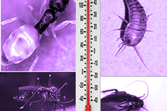 bugging out.jpg bugging out.jpg