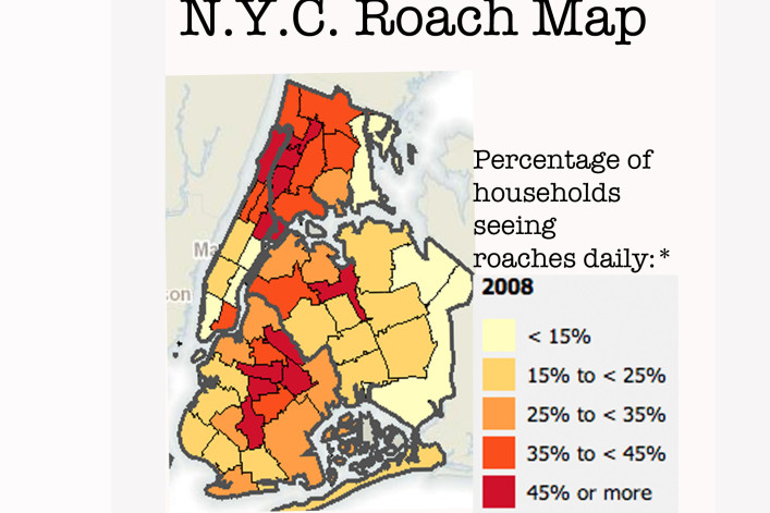 Anti-Rat Community Day Coming To Harlem: What To Know