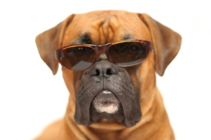 barking surgery.jpg barking surgery.jpg