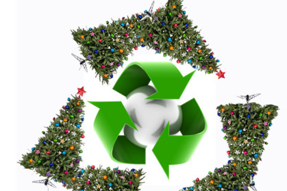 xmas recycle tree.jpg xmas recycle tree.jpg