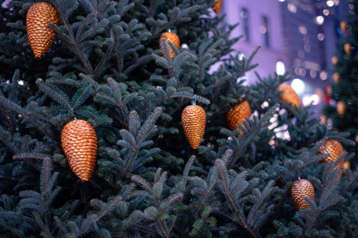 Christmas tree ornaments