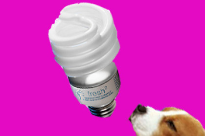 odor zapping bulb.jpg