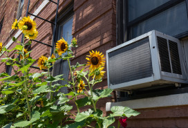 A window air conditioning unit outside an old brick apartment building above a garden with yellow sunflowers during summer in Astoria Queens New York