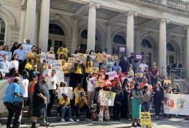 Rally ahead of COPA hearing