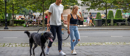 Young couple walking a large dog in Central Park
