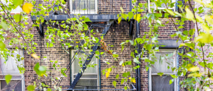 Brick apartment building exterior in Manhattan with fire escapes, windows, green tree leaves
