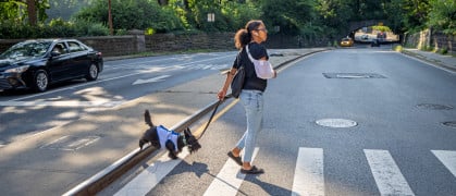 Woman with dog at crosswalk in Central Park in NYC