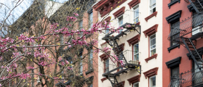 50919 douglas elliman april 2019 rental market report _istock.jpg image