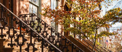 DE-main-img-map (2).jpg image