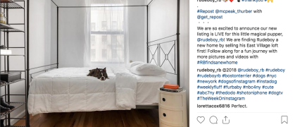 Rudeboy main image.png image