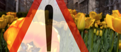 Screen Shot 2012-04-03 at 1.47.02 PM.png image