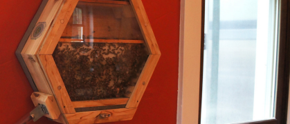 Screen Shot 2015-06-11 at 7.32.34 PM.png image