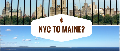 nyctomaine.png image