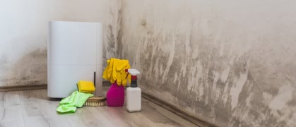 A moldy apartment floor and walls