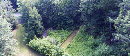 main image red hook.png image