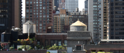 roof garden.jpg image