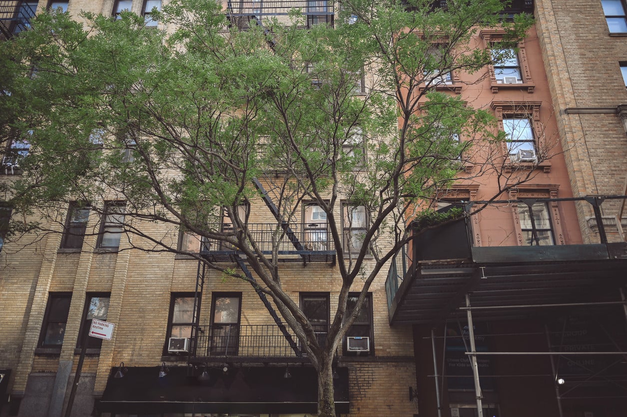 My landlord is taking me to court for not paying rent and I'm planning on using AI to prepare for the case. Is that a good idea?