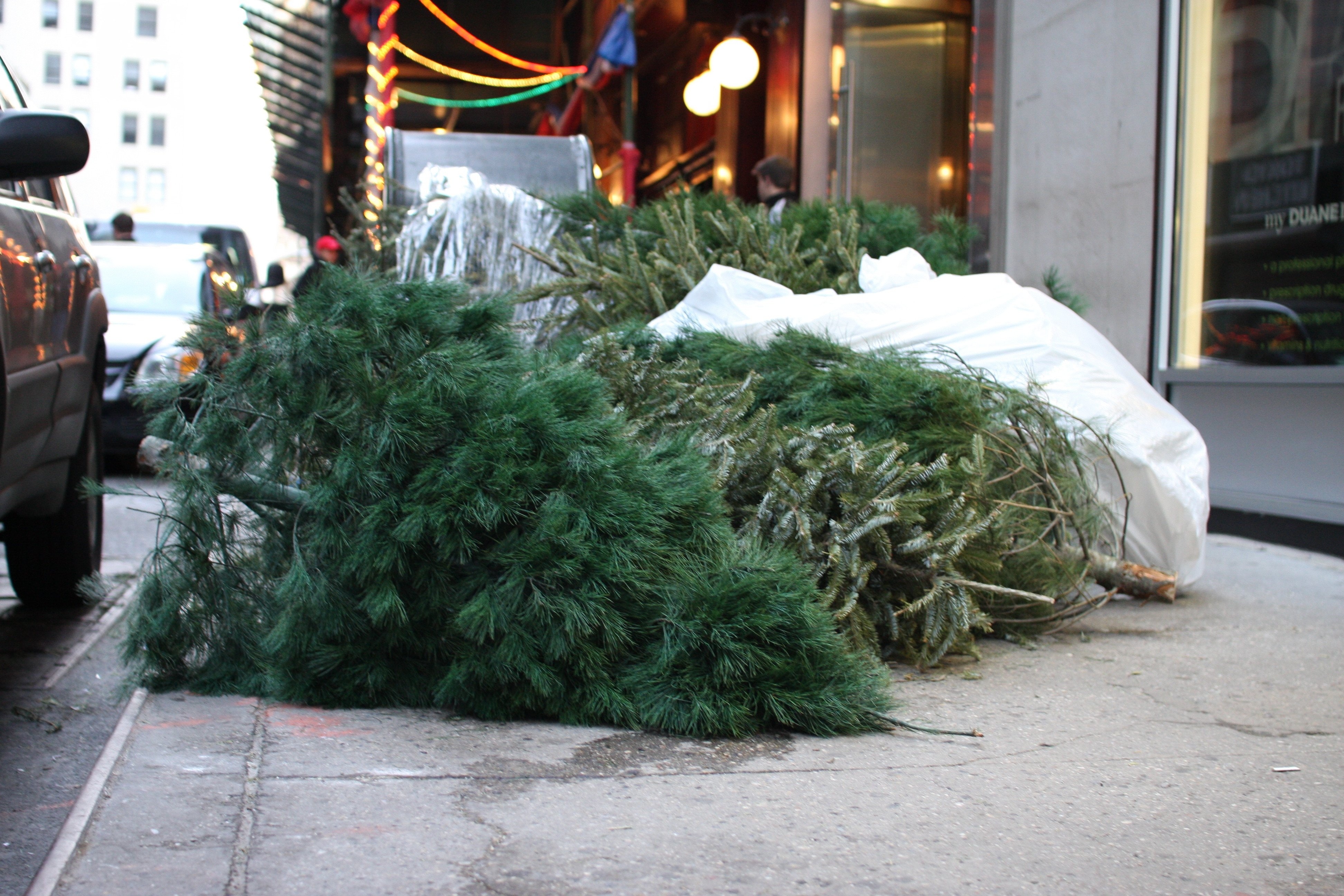 How to properly dispose of your NYC Christmas tree once the holidays ...