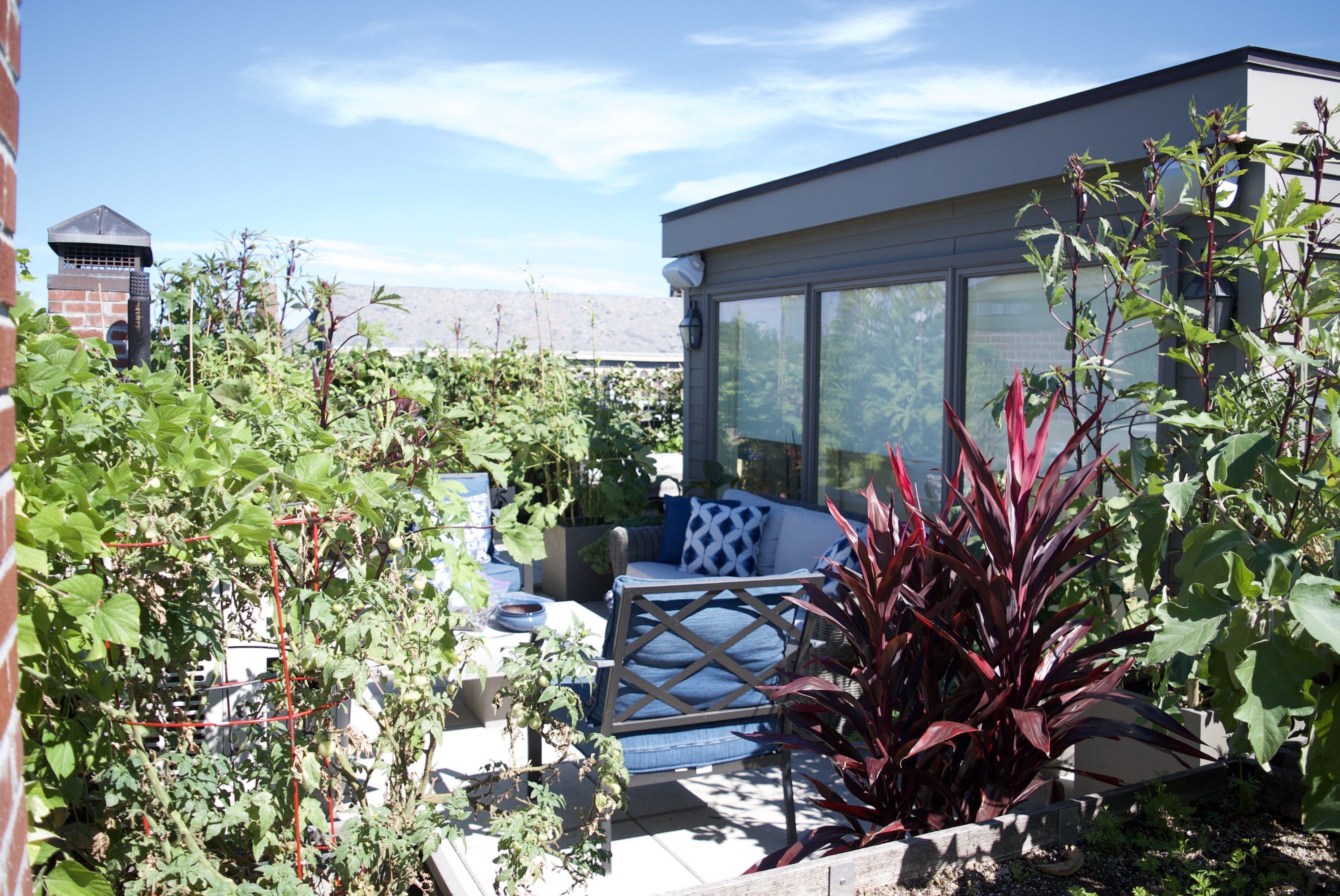 My Urban Vegetable Garden Layout - A Pretty Life In The Suburbs