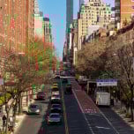 Residential street in Manhattan