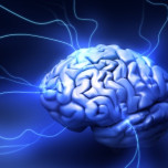 Ask an Expert_1.jpg image